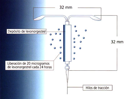 Sexología