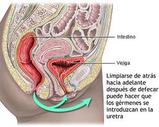 Ginecología