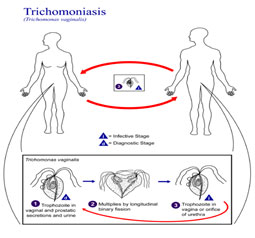 enfermedades-de-transmision-sexual